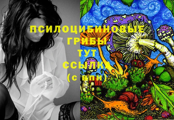 ешки Алексеевка